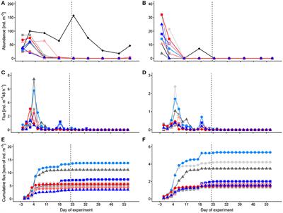 Response of Pelagic Calcifiers (Foraminifera, Thecosomata) to Ocean Acidification During Oligotrophic and Simulated Up-Welling Conditions in the Subtropical North Atlantic Off Gran Canaria